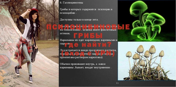 не бодяженный Алзамай