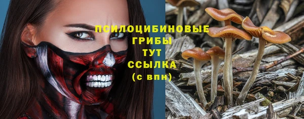 не бодяженный Алзамай