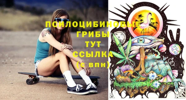 не бодяженный Алзамай